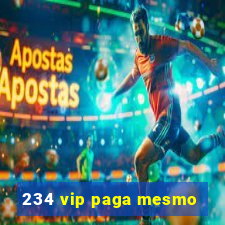 234 vip paga mesmo